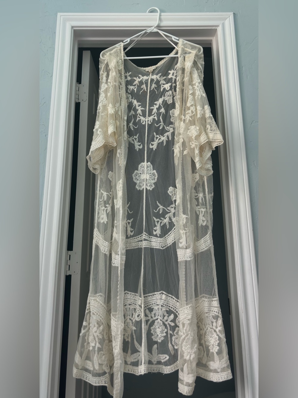 Dizzygal Sheer Lace Embroidered Kimono Robe - Cream